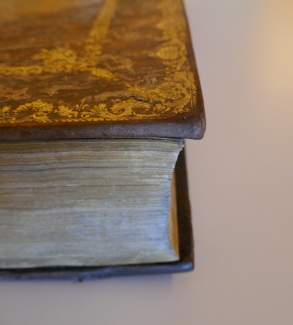 Detail eines Ledereinbands nach der Restaurierung